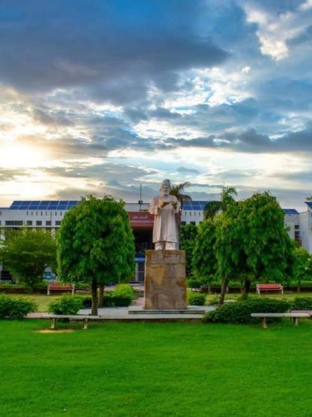 भारत में अल्पसंख्यक संस्थानों को कौन से अधिकार मिलते हैं?