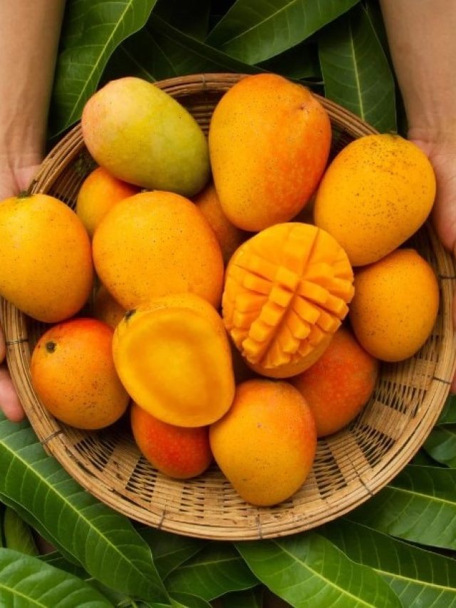 কোষ্ঠকাঠিন্য কমবে আমের খোসায়! র‍য়েছে আরও ফায়দা, না ফেলে কাজে লাগান