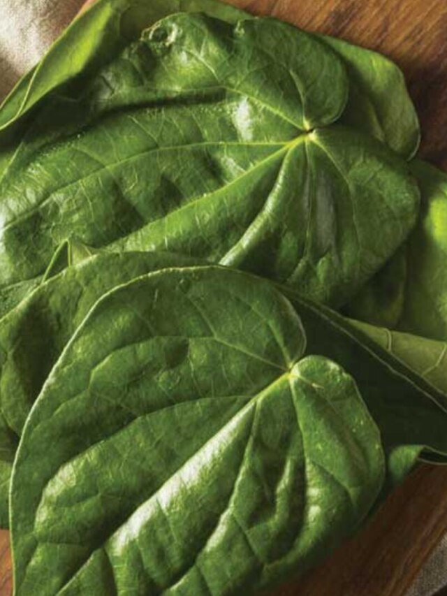 সব কাজেই আসছে বাধা? পান পাতার এই টোটকায় ঘুরবে মন্দ ভাগ্য