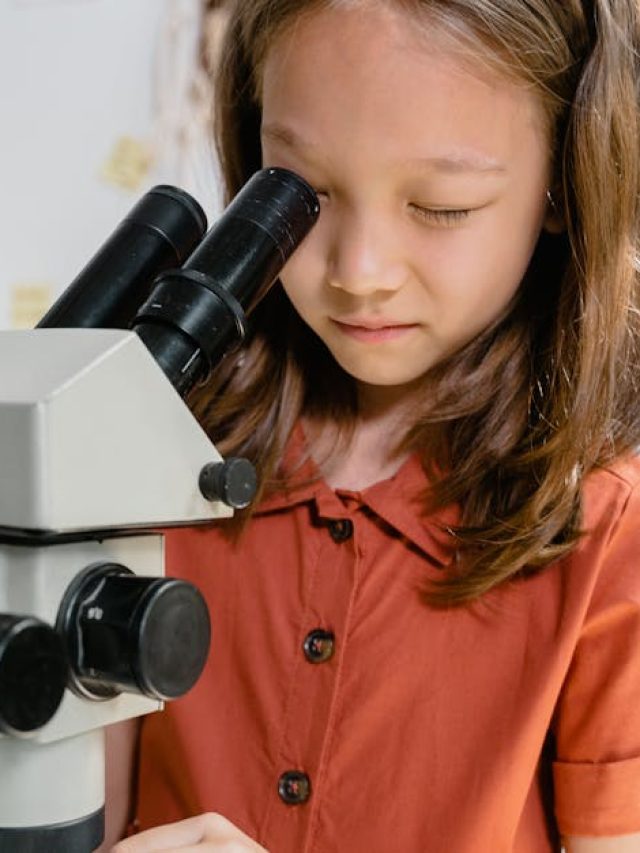 ছোট থেকেই জিনিয়াস  হবে সন্তান, নিয়ম করে খাওয়ান খালি...