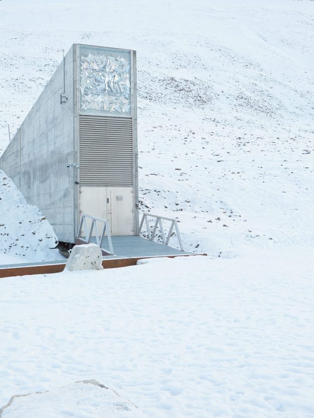 'Can be visited only 6 times a year':  Norway’s hidden mountain holds Earth's last food hope