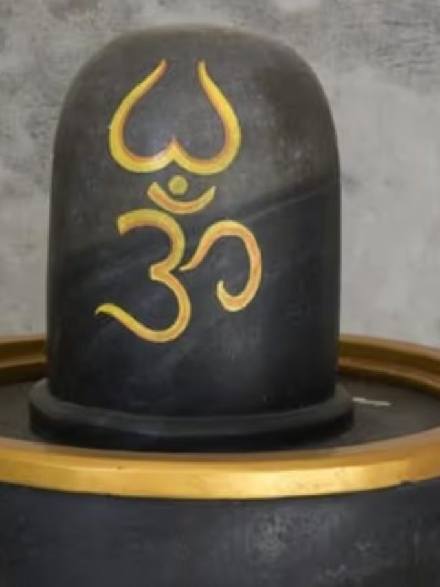 সাদা না কালো, কোন রঙের শিবলিঙ্গ বাড়িতে রাখা উচিত? সত্যিটা জানুন