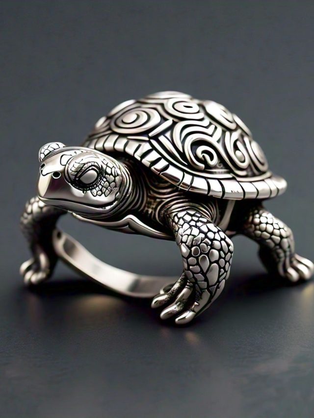 আঙুলে এই আংটি গলালেই চুম্বকের মতো আকর্ষণ হবে টাকা, পরার সঠিক নিয়ম জানুন