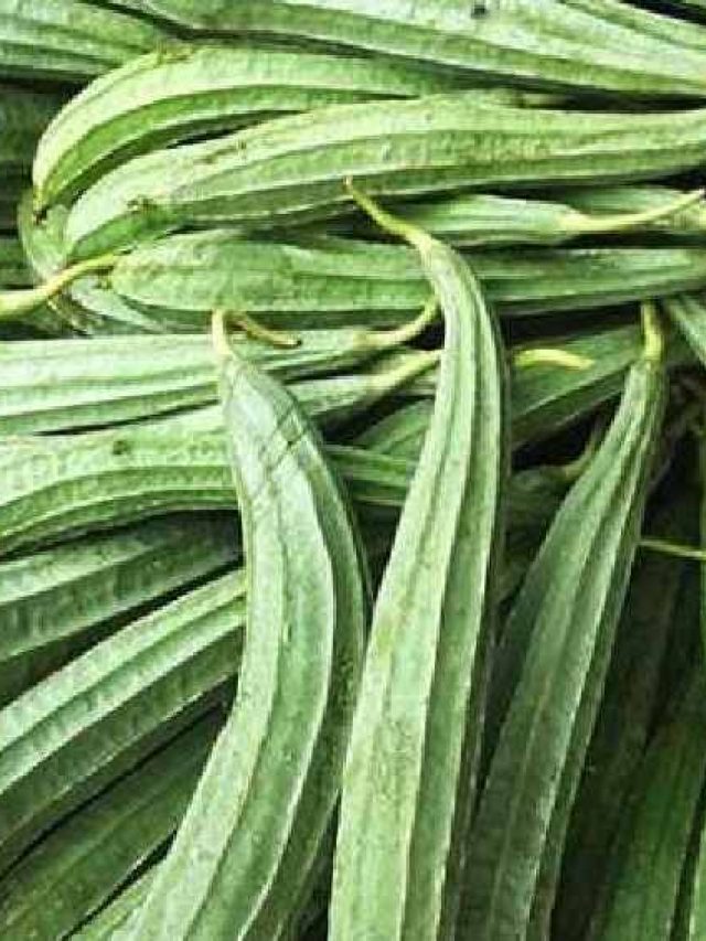 ঝিঙেকে ইংরাজিতে কী বলে? উত্তর জানলে পণ্ডিতদের মুখ হাঁ হবে