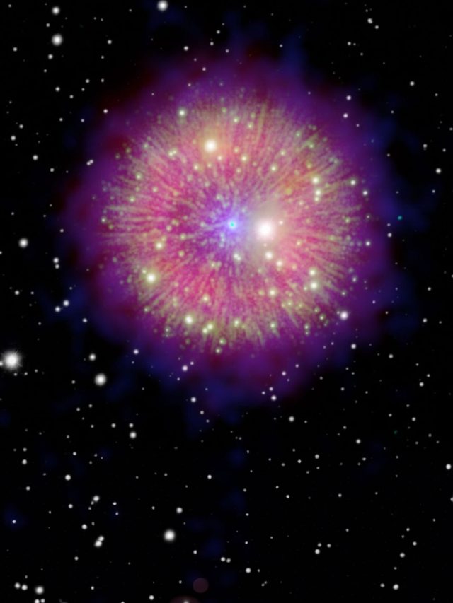 ‘1000-years ago’: Astronomers discover a zombie star that survived supernova explosion