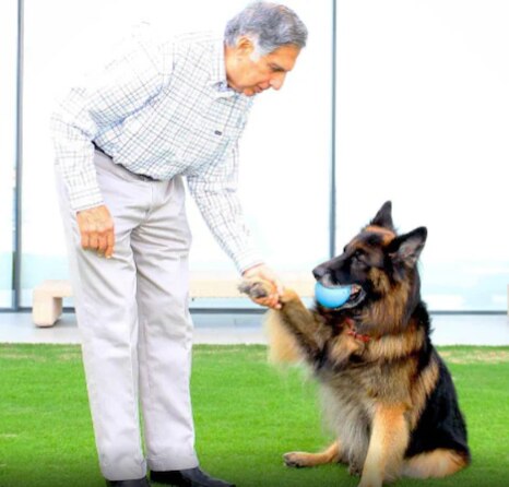 ‘The dog he chose over a king’: Ratan Tata’s will ensures lifetime care for his beloved pet Tito