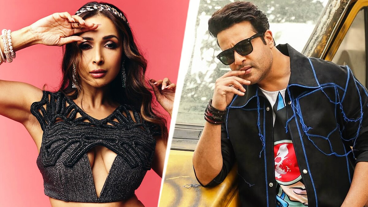 मलाइका संग गोव‍िंदा को करना था डांस, कृष्णा ने मारा चांस, सुनकर चौकीं एक्ट्रेस