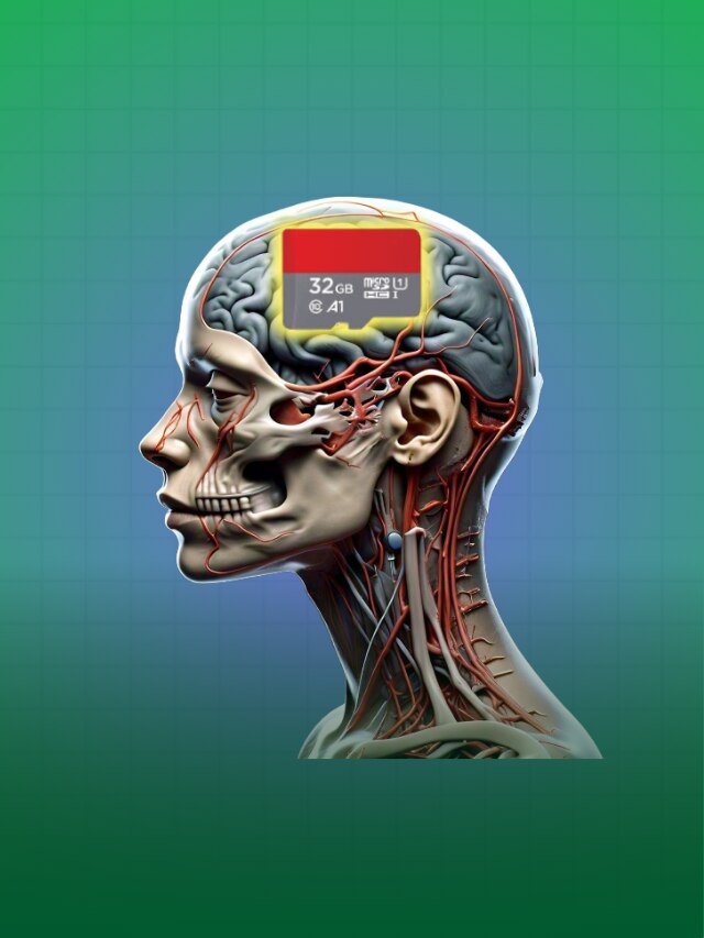 ব্রেনে কত GB ডেটা ধরে? চমকে দেওয়া তথ্য