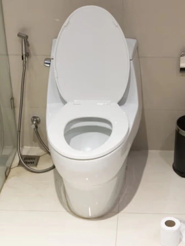 দাম মাত্র ১০ টাকা, এই জিনিস ঢাললেই চকচকে হবে কমোড