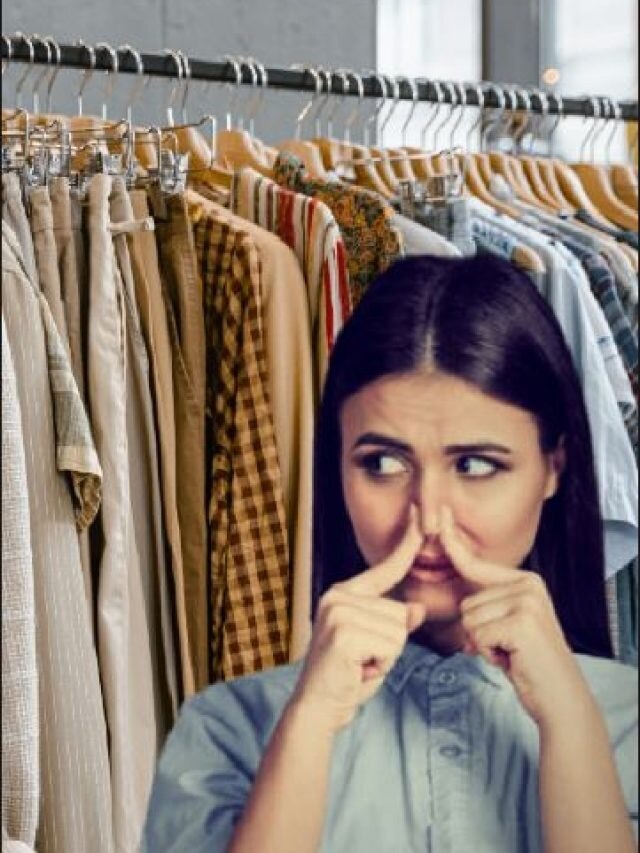 আলমারিতে রাখা সোয়েটারে বোঁটকা গন্ধ? দূর করুন এভাবে