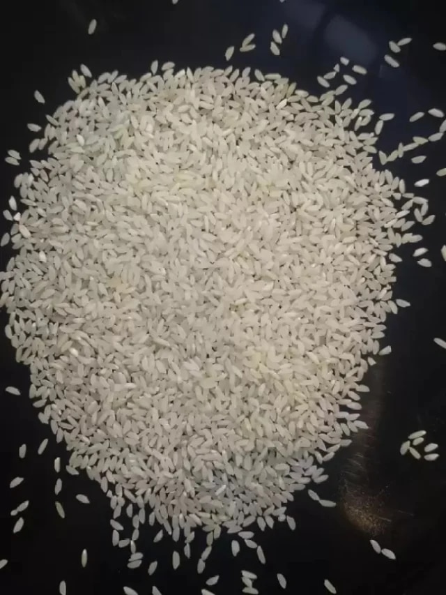 আতপ vs সেদ্ধ চাল, কোনটা বেশি স্বাস্থ্যকর জানুন