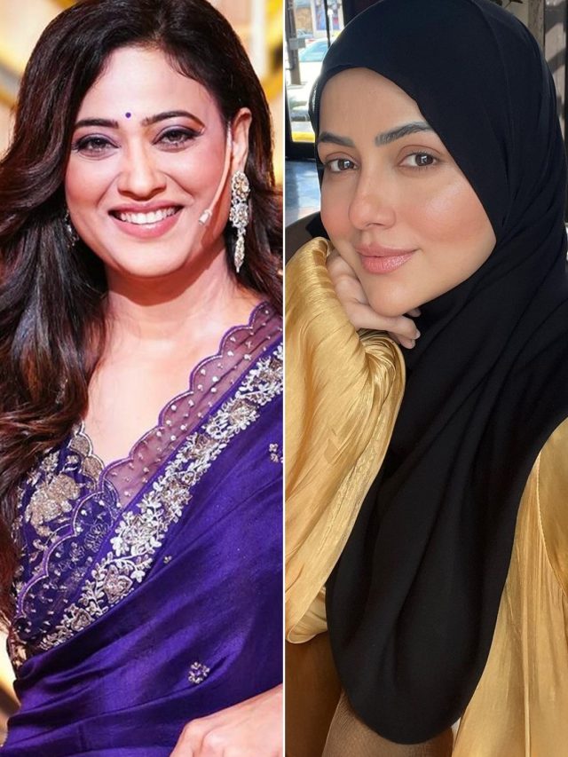 44 साल की श्वेता का दूल्हा बना ऑनस्क्रीन बेटा? दूसरी बार मां बनेंगी सना खान