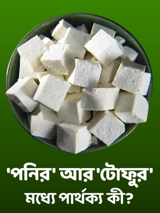 পনির আর টোফুর মধ্যে কী পার্থক্য? অনেকেরই অজানা