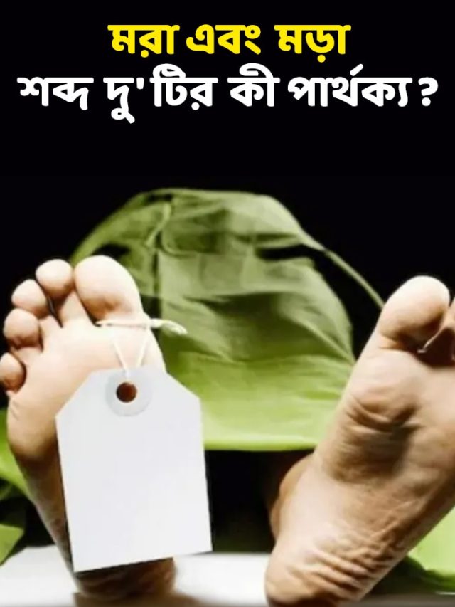 'মরা' এবং 'মড়া' শব্দ দুটির কী ফারাক? অনেক শিক্ষিতেরাই জানেন না