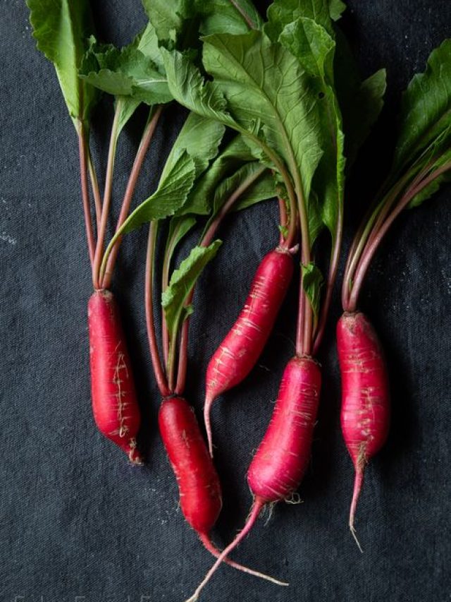 नवंबर में उगाएं लाल मूली, जान लीजिए घर में उगाने का तरीका