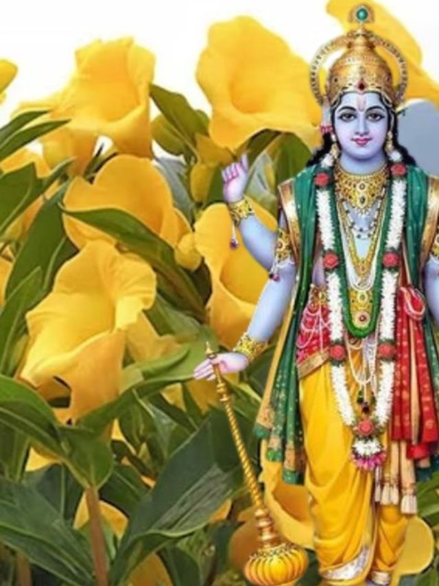 ভগবান বিষ্ণুর খুব  প্রিয় এই গাছ, বাড়িতে লাগালেই সব মুশকিল আসান