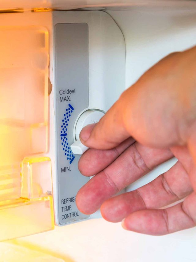 গরমে ফ্রিজের টেম্পারেচর কত রাখলে ইলেকট্রিক বিল ১০০ টাকায় নামবে? ট্রিকস