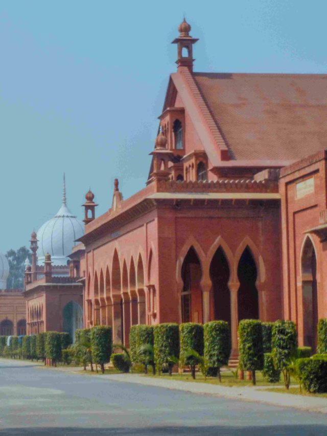 भारत के वो विश्वविद्यलय, जिन्हें मिला है अल्पसंख्यक का दर्जा