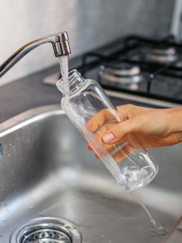 বোতলে শ্যাওলা-গন্ধ কিচ্ছু থাকবে না, এই ১ ফোঁটা রসেই হবে পুরো নতুন