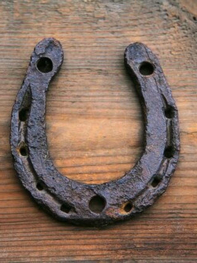 দরজায় ঝুলিয়ে দিন ঘোড়ার নাল, জীবনে সুখ-টাকা উপচে পড়বে