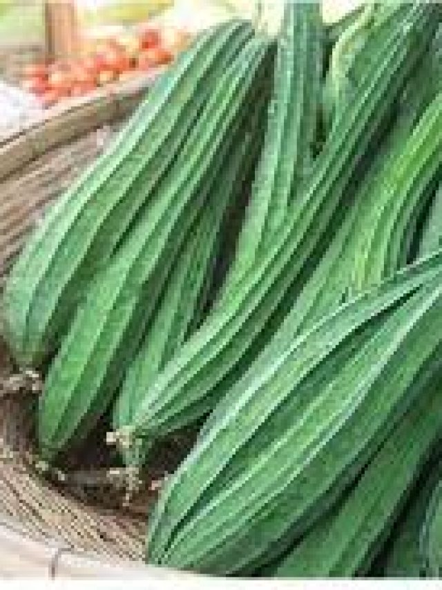 ঝিঙের ইংরাজি কী জানা আছে? বাঘা বাঘা পণ্ডিতদের ঘাম ছুটবে