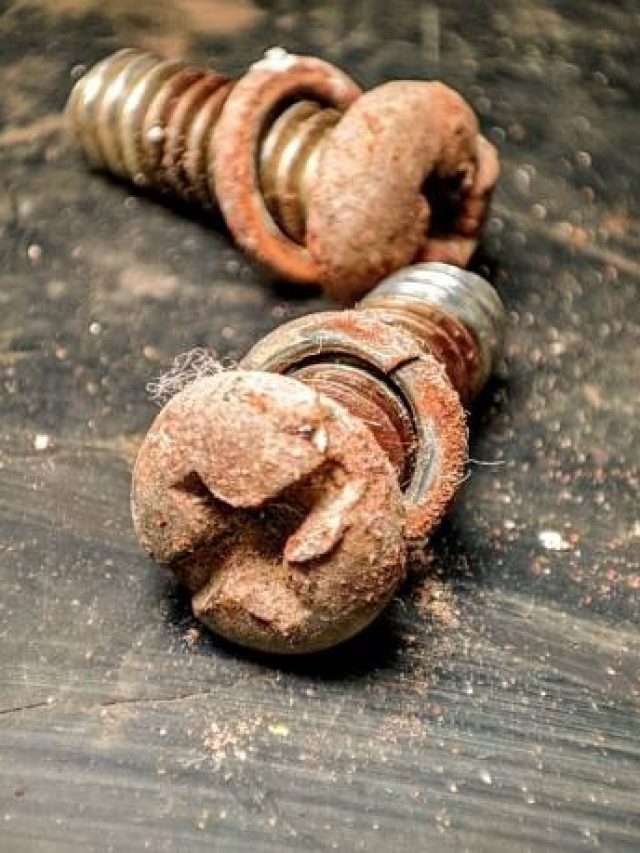 खुशहाली छीन लेती हैं ये 3 मनहूस चीजें, तुरंत करें घर से बाहर