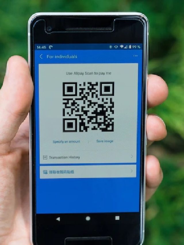 UPI QR Code के जरिए किया स्कैम, पेट्रोल पंप से ही उड़ा दिए पैसे