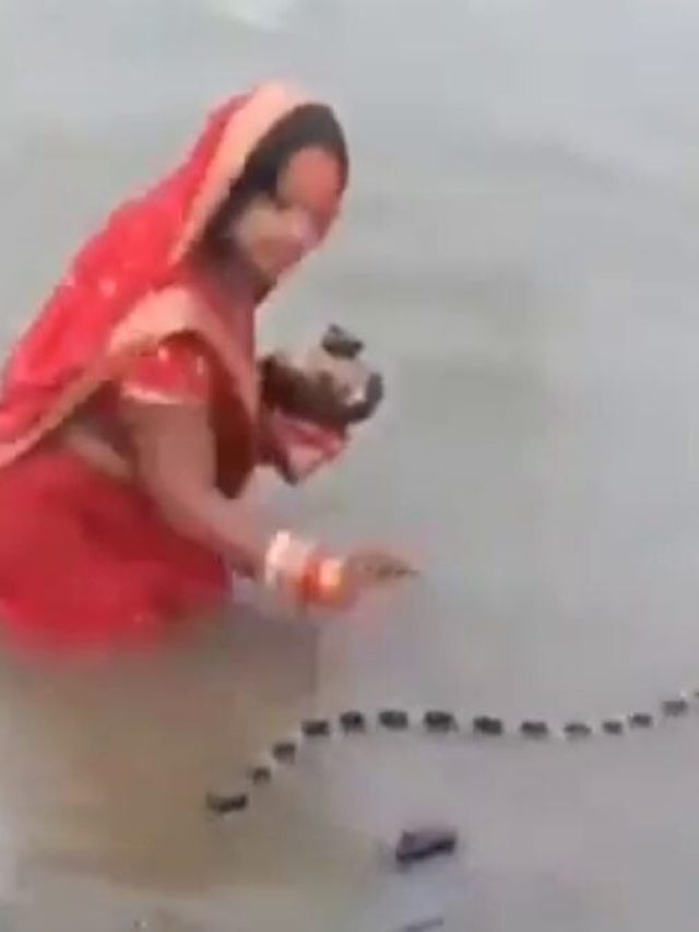 छठ पूजा में पास से गुजरा जहरीला सांप, लेकिन नहीं टूटा महिला का ध्यान, Video Viral