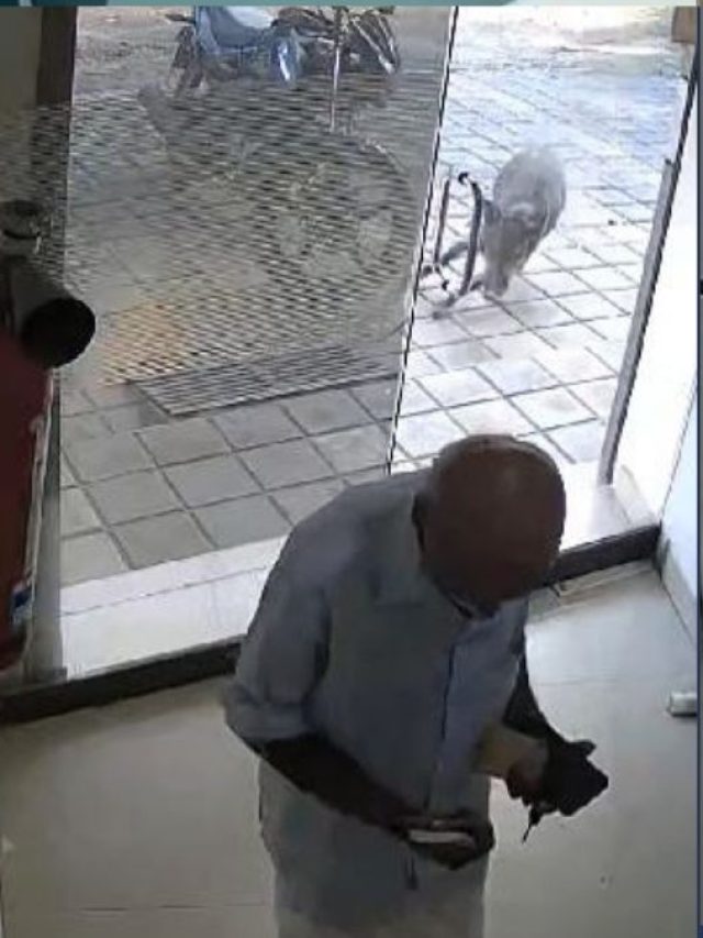 ATM से पैसे निकाल रहा था बुजुर्ग, रॉकेट की रफ्तार से आया सुअर, तोड़ा कांच...