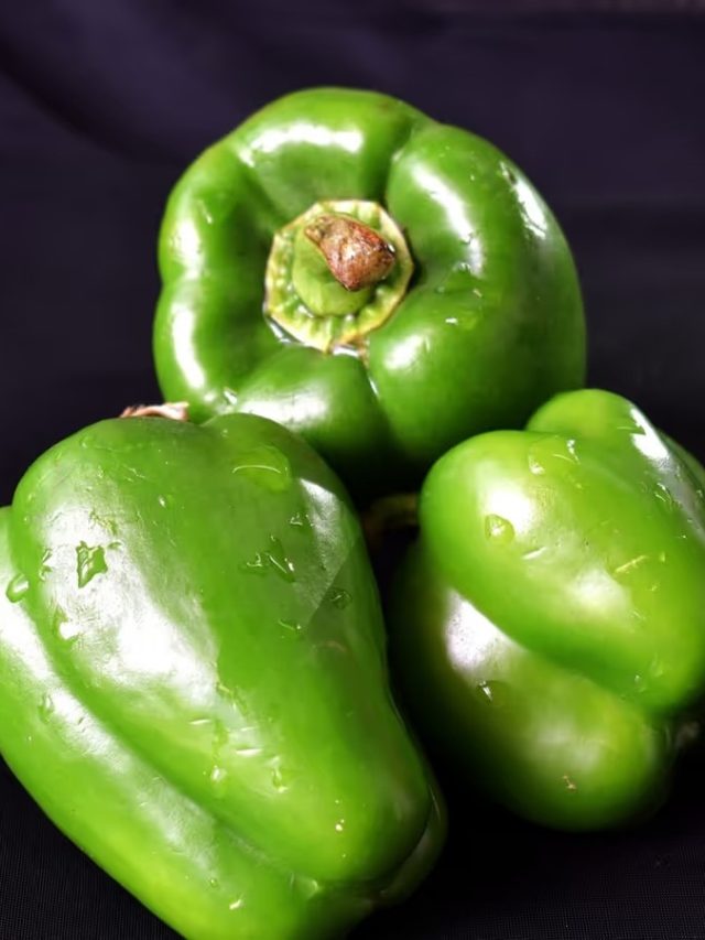 স্ত্রী ক্যাপসিকাম  কাকে বলে? অনেকেই জানেন না