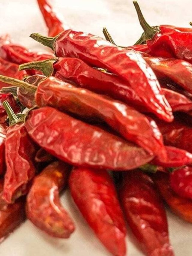 বুকপকেটে ১টা  শুকনো লঙ্কা,  ব্যস, শুরু খেলা