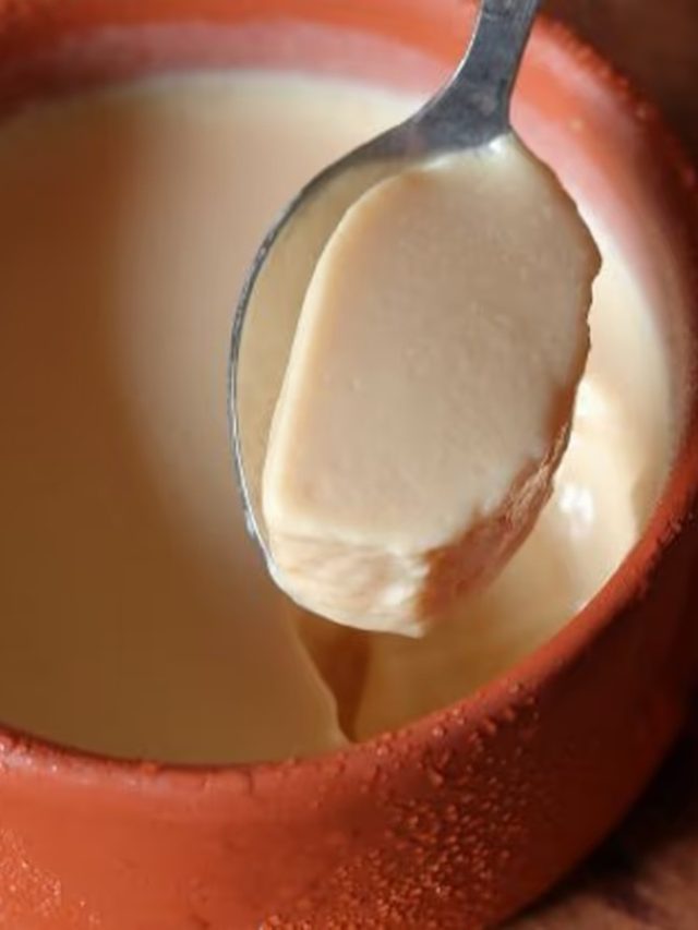 দিতে হবে এই টক জিনিস, তাতেই ঘরে পাতানো মিষ্টি দই সুস্বাদু হবে