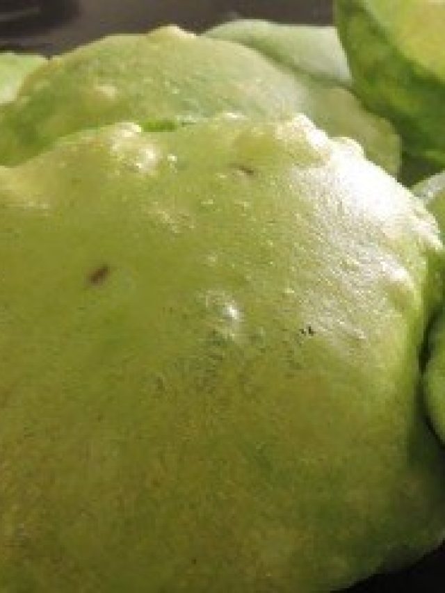 লুচি বানান এই শাক দিয়ে, খেতেও ভাল, আর বদহজমও হবে না