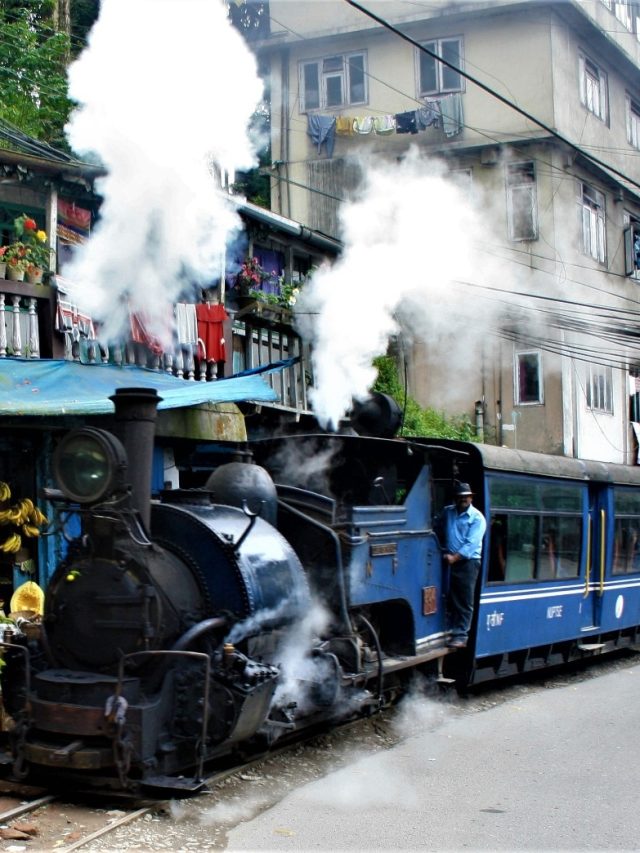 মোমো-চাউমিন-সেল রুটির চেয়েও জনপ্রিয়. দার্জিলিংয়ের সেরা খাবারের রেসিপি