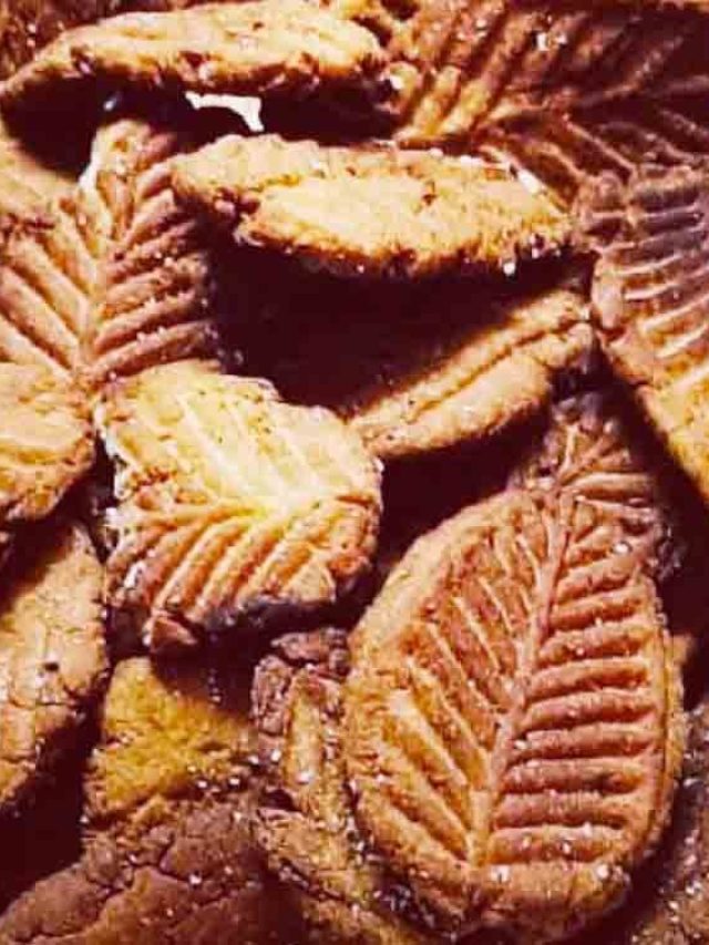 ছট পুজোয় ঠেকুয়া পাননি? বাড়িতেই এভাবে বানান সুস্বাদু ঠেকুয়া