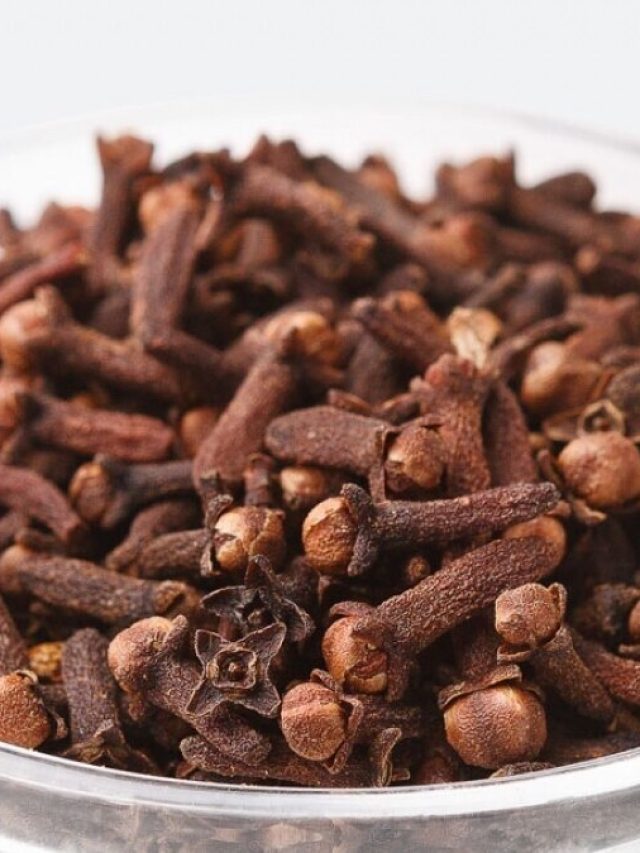 রোজ খাওয়ার পরে মুখে রাখুন ১টা লবঙ্গ, এসব অবিশ্বাস্য উপকার পাবেন