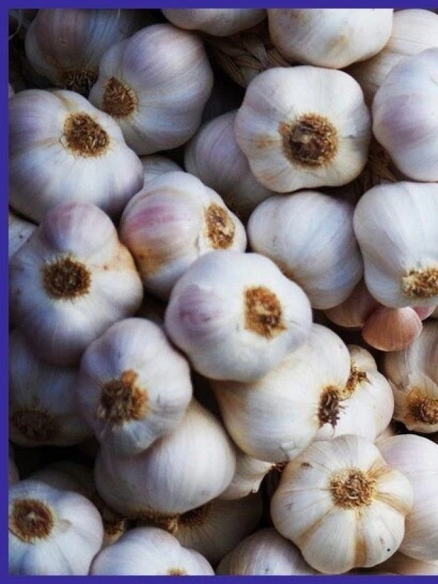 রোজ মাত্র দুই কোয়া করে রসুন খেয়ে দেখুন কী হয়, ১৫ দিনে ফল পাবেন