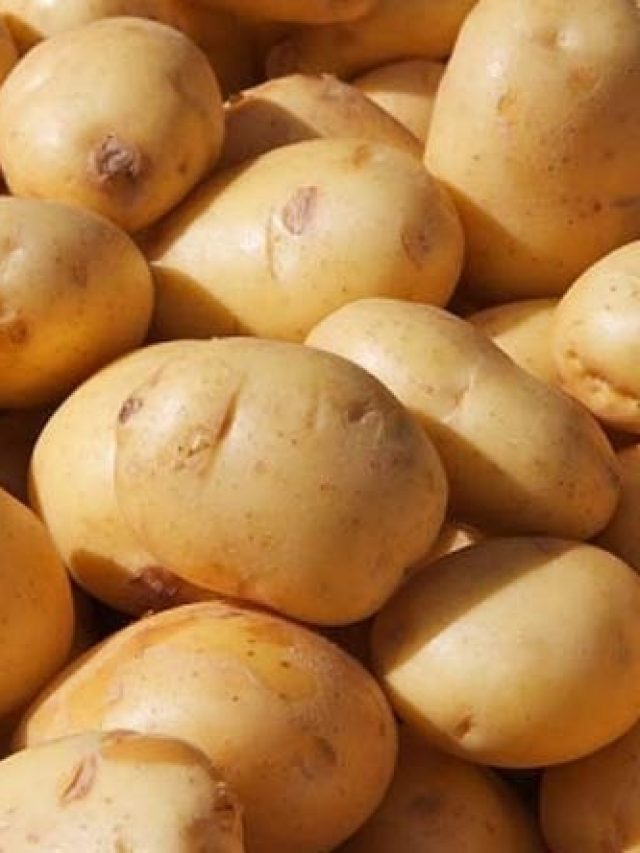 বিক্রেতা এই আলু গছিয়ে দিতে চাইলেও কিনবেন না, খুব সাবধান