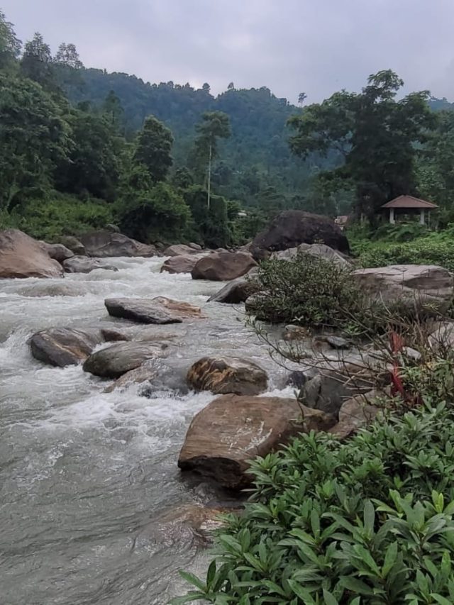 শীতে উত্তরবঙ্গ ভ্রমণের সেরা দশ জায়গা, চোখধাঁধানো লোকেশন
