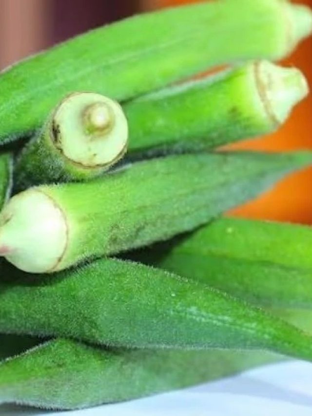 ঢ্যাঁড়শ খেলে সেদিন এই জিনিসগুলি খাওয়া যায় না, অনেকেই জানে না