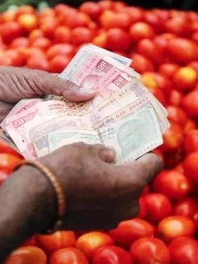 সস্তা হলো টমেটো, দাম কত জানিয়ে দিল কেন্দ্র সরকার