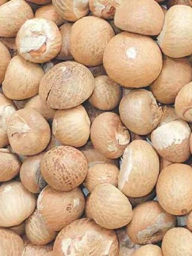 প্যান্টের পকেটে  রাখুন ১টা সুপারি,  ব্যস, খেলা শুরু