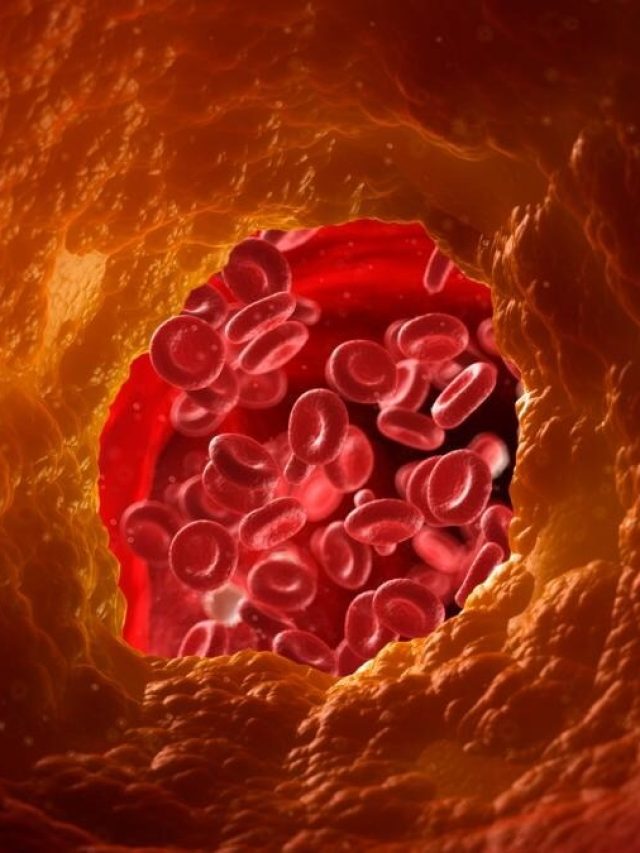 রোজ কামড়ে খান এই ছোট্ট সবজি, তাতেই গায়েব হবে কোলেস্টেরল