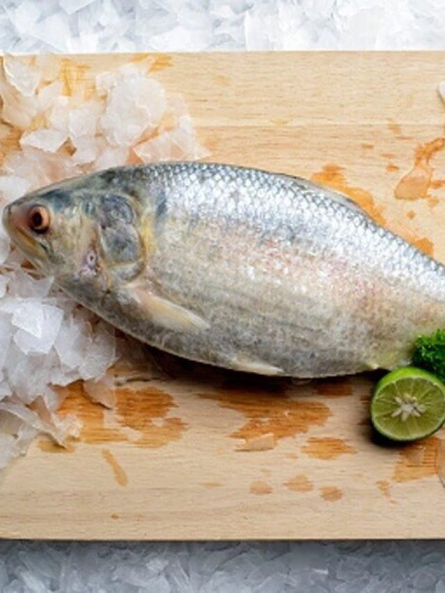 পেট ভর্তি ডিম গিজগিজ করছে, ইলিশ না ধরেই বলে দিন এই কায়দায়