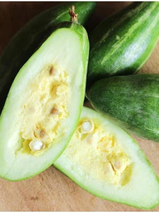 পটলের বীজ পেটে গেলে এসব হয়, জেনে রাখুন