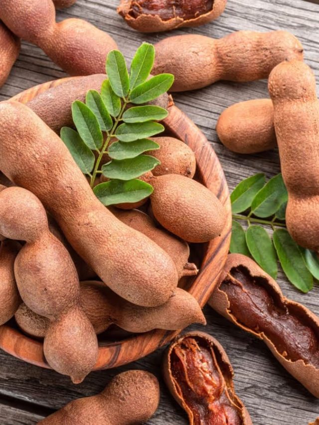 শুধু লাগান তেঁতুল, তাতেই পাকা চুল কুচকুচে কালো হবে