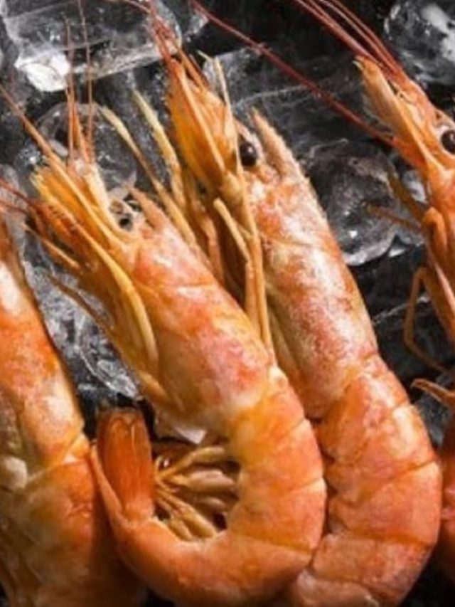 চিংড়ি মাছ এঁদের জন্য বিপদ, কারা খাবেন না, জেনে রাখুন