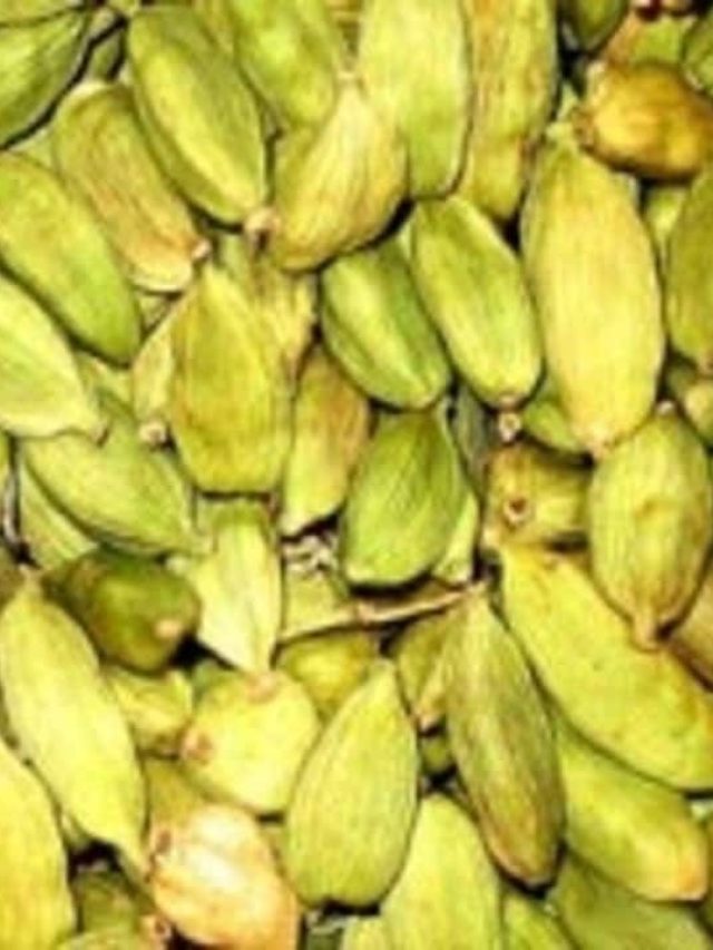 শুধু ১টা এলাচ লাগবে, তাতেই চরম সুখ-মজা