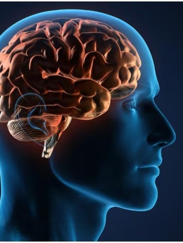 বাড়বে বুদ্ধি, সস্তার এই সবজিতেই ব্রেন হবে তুখড়