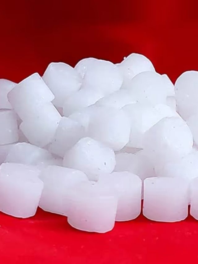 ১টা কর্পূর রেখে দিন বুকপকেটে, উপচে পড়বে যৌবন